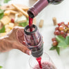 Vinbelufter med filter, stativ og fløjlspose Wineir InnovaGoods