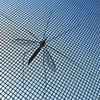 Klæbende myggenet til vinduet, som kan skæres InnovaGoods