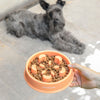 Spis langsomt-madskåle til kæledyr Slowfi InnovaGoods